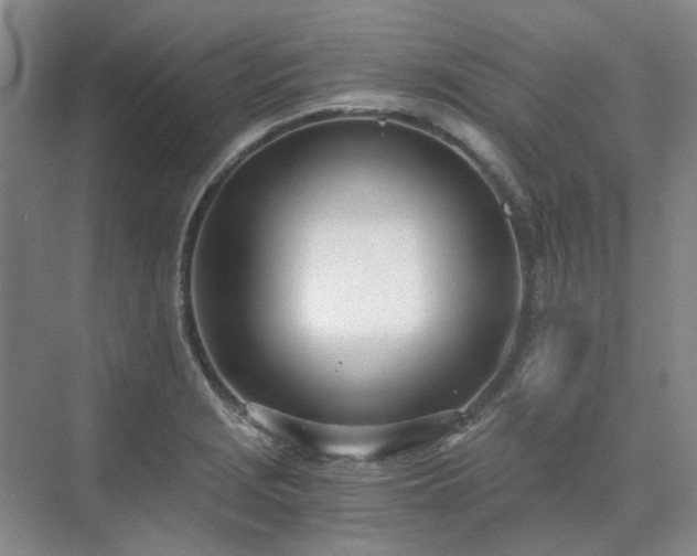 X0000071351229200606301644