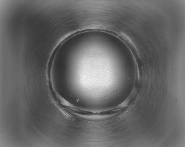 X0000071351230200606301644