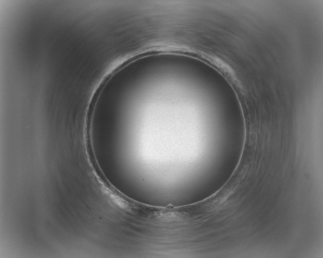 X0000071351231200606301644