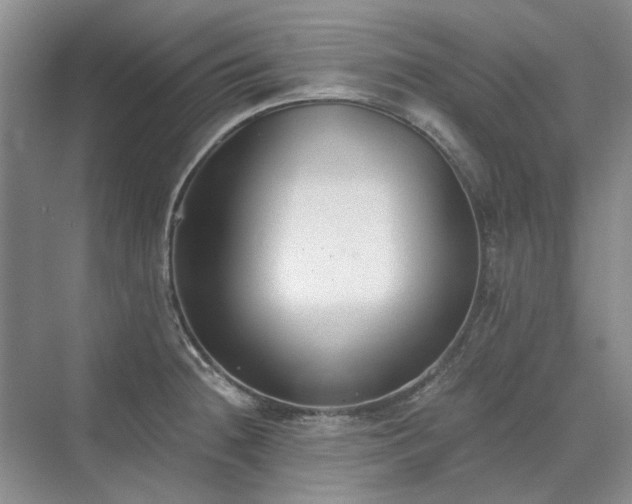 X0000071351236200606301644