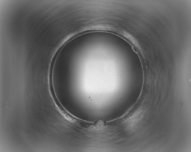 X0000071351237200606301644