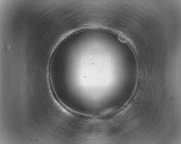 X0000071351239200606301644