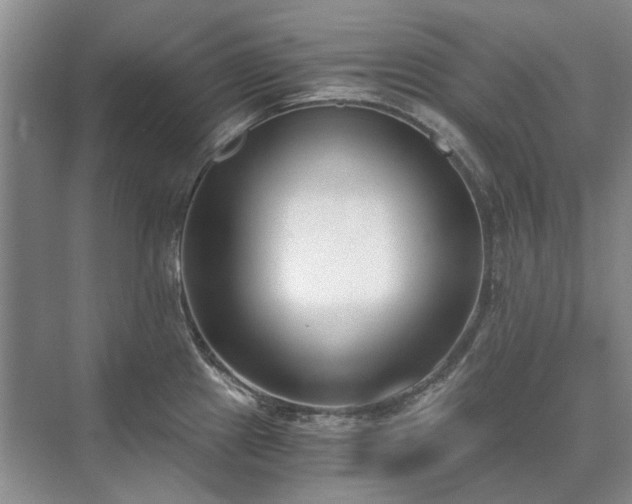 X0000071351241200606301644