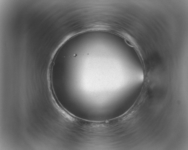 X0000071351243200606301644