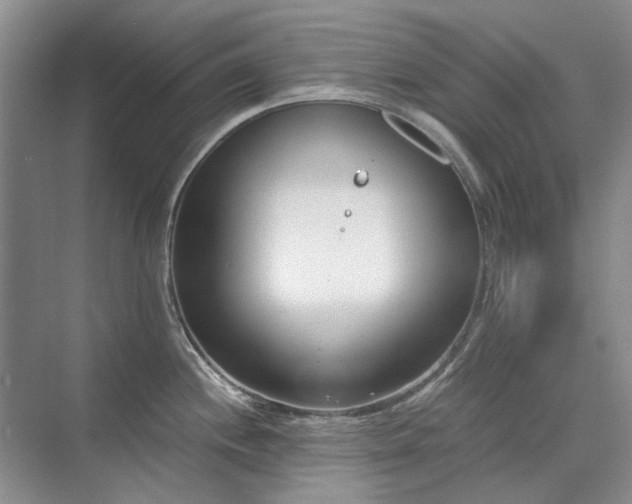 X0000071351244200606301644