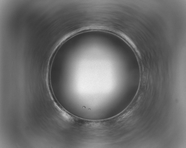 X0000071351245200606301644