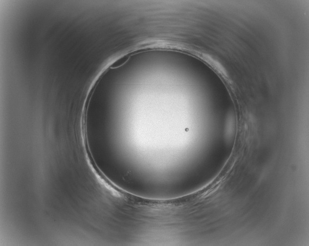 X0000071351247200606301644