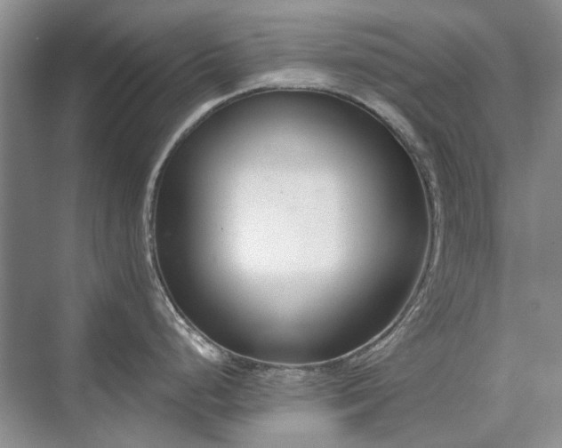 X0000071351248200606301644