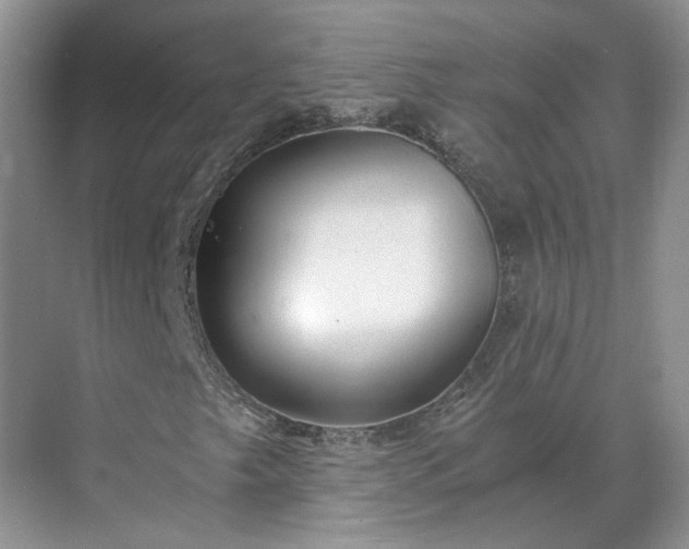 X0000071351249200606301643