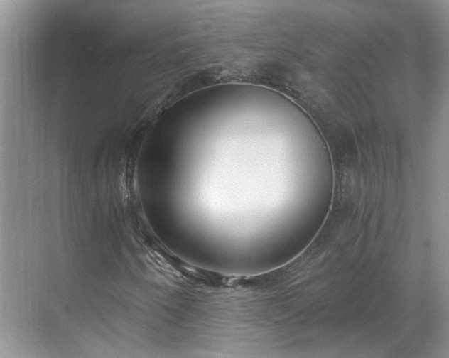 X0000071351250200606301643