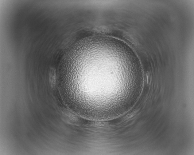 X0000071351251200606301643