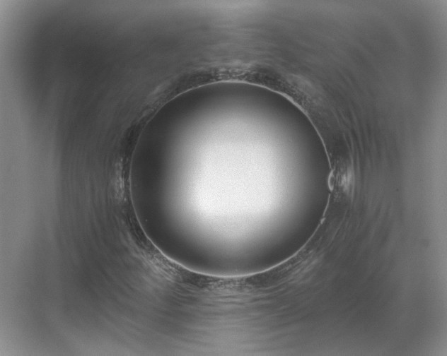 X0000071351252200606301643