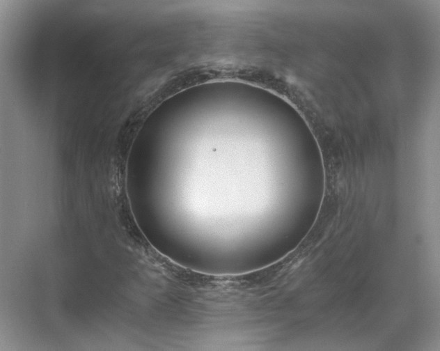 X0000071351253200606301643