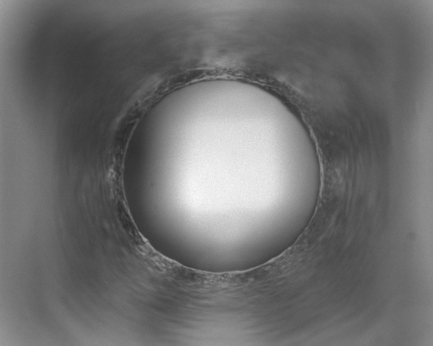 X0000071351254200606301643