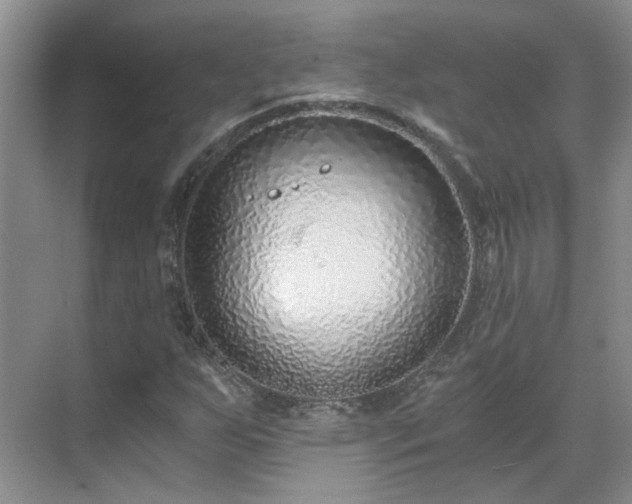 X0000071351255200606301643