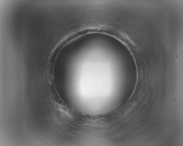 X0000071351256200606301643