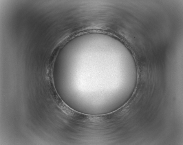 X0000071351258200606301643