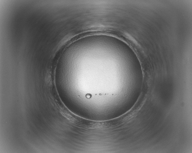 X0000071351259200606301643