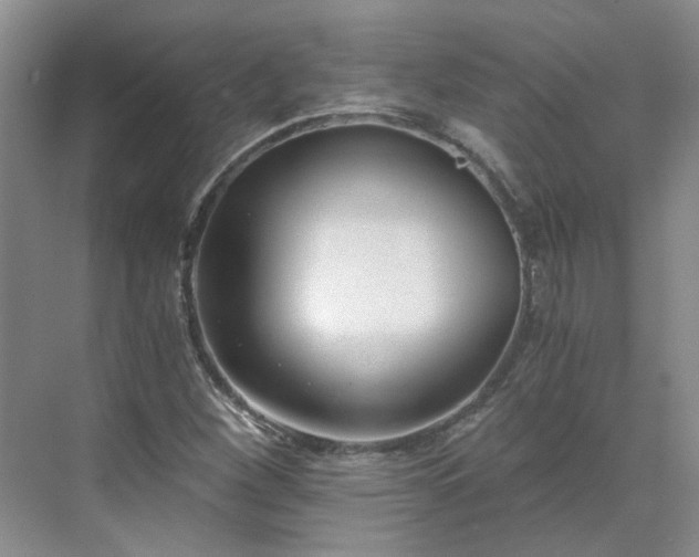 X0000071351260200606301643