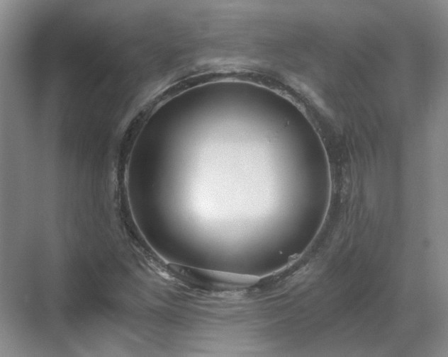 X0000071351261200606301643