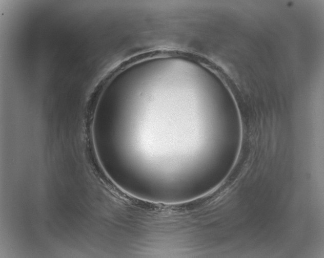 X0000071351263200606301643