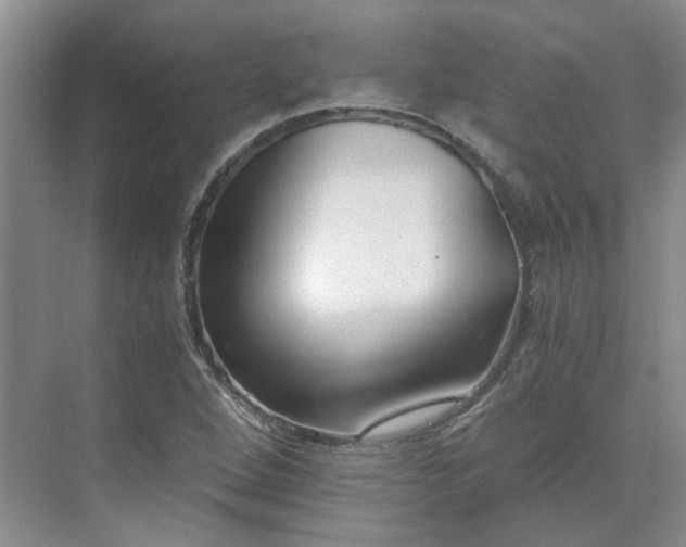 X0000071351264200606301643