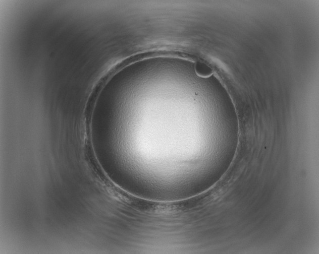 X0000071351267200606301643