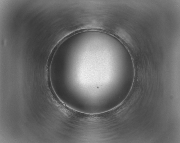 X0000071351268200606301643