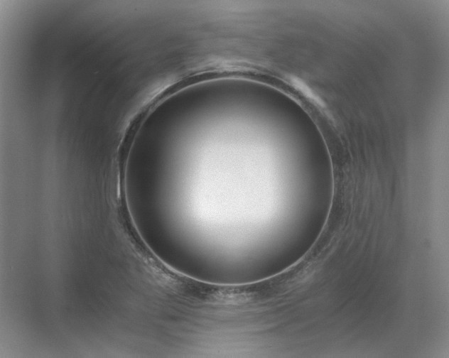 X0000071351269200606301643