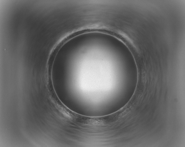 X0000071351270200606301643