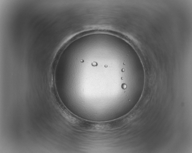 X0000071351271200606301643