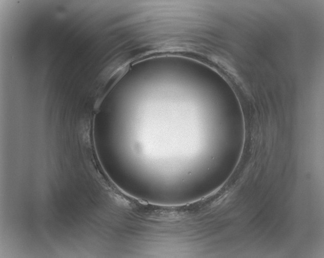 X0000071351273200606301643