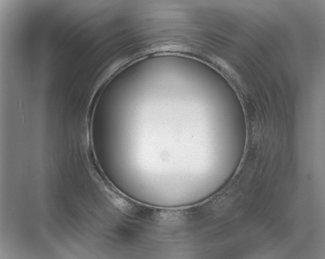 X0000071351274200606301643