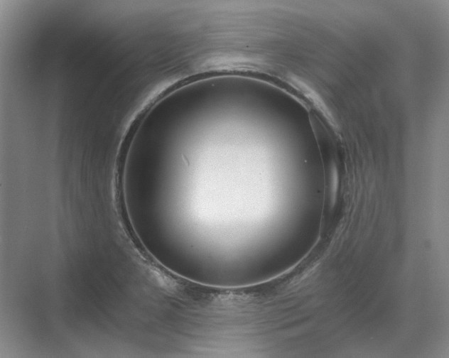 X0000071351277200606301643