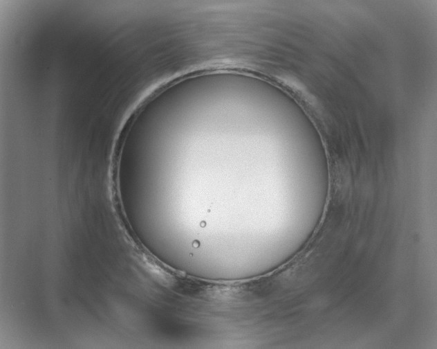 X0000071351278200606301643