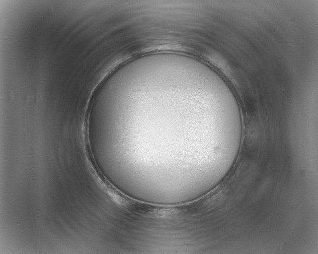 X0000071351282200606301643