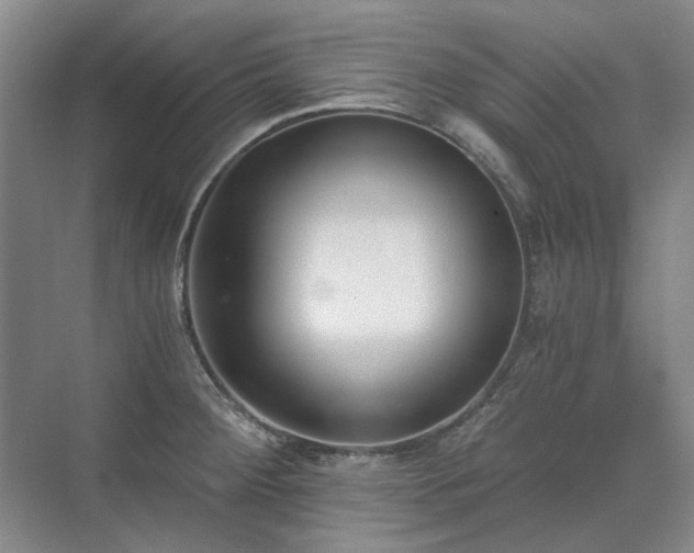 X0000071351284200606301643