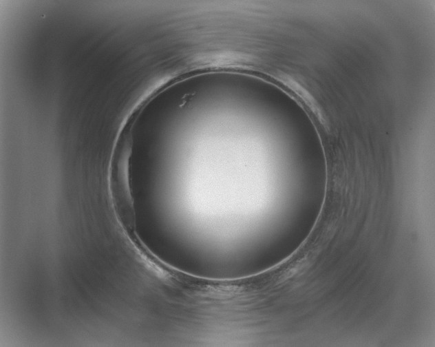 X0000071351285200606301643