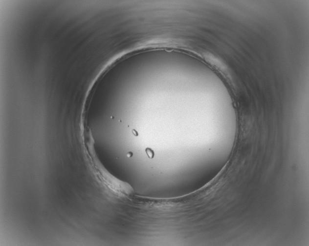 X0000071351288200606301643