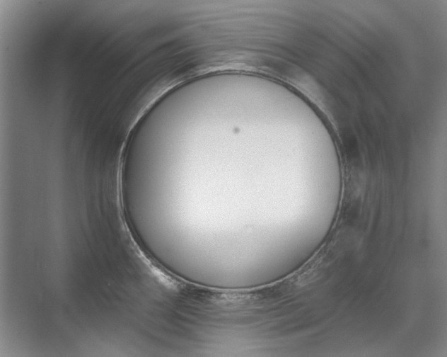 X0000071351290200606301643