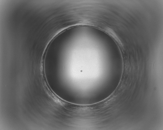 X0000071351292200606301642