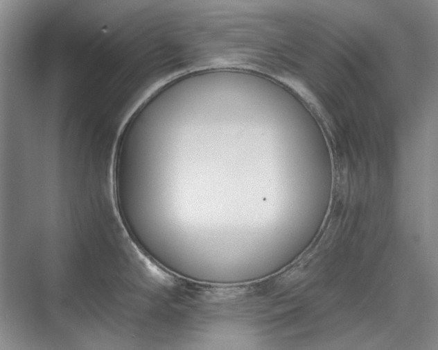 X0000071351294200606301642