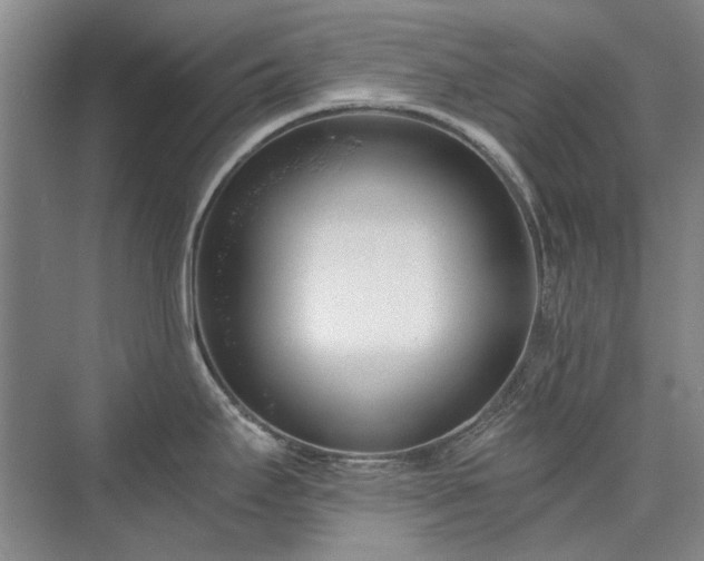 X0000071351295200606301642