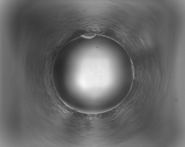 X0000071351297200606301642