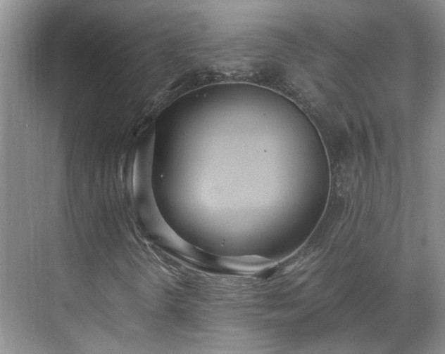 X0000071351298200606301642