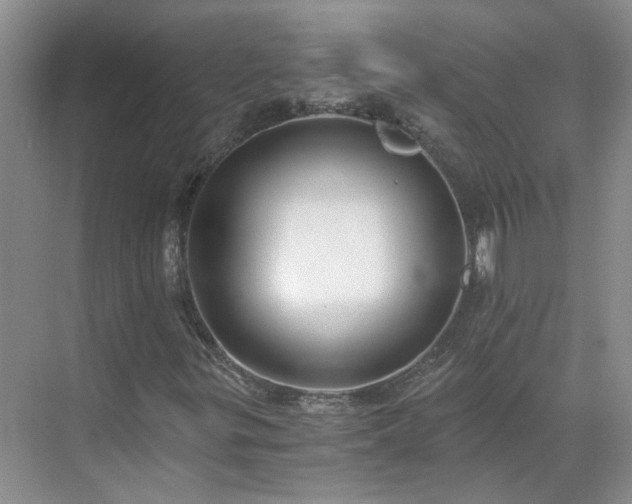 X0000071351299200606301642