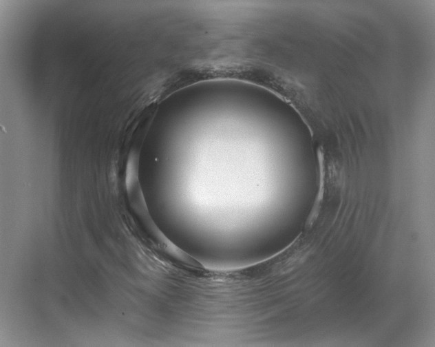 X0000071351300200606301642