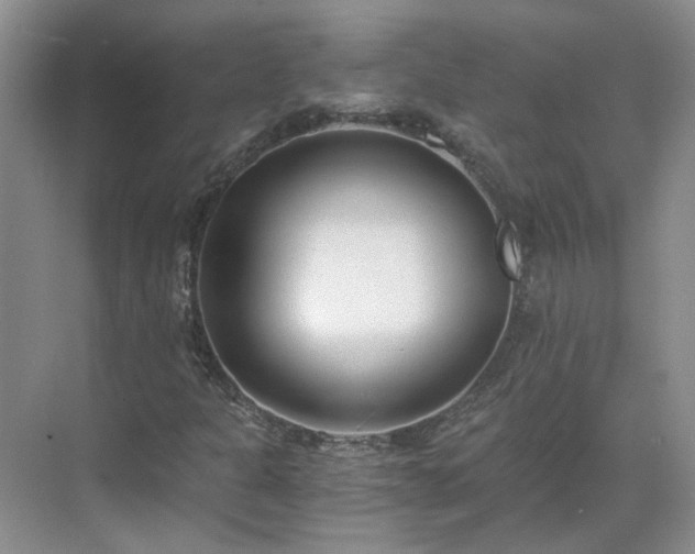 X0000071351301200606301642