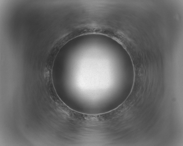 X0000071351302200606301642