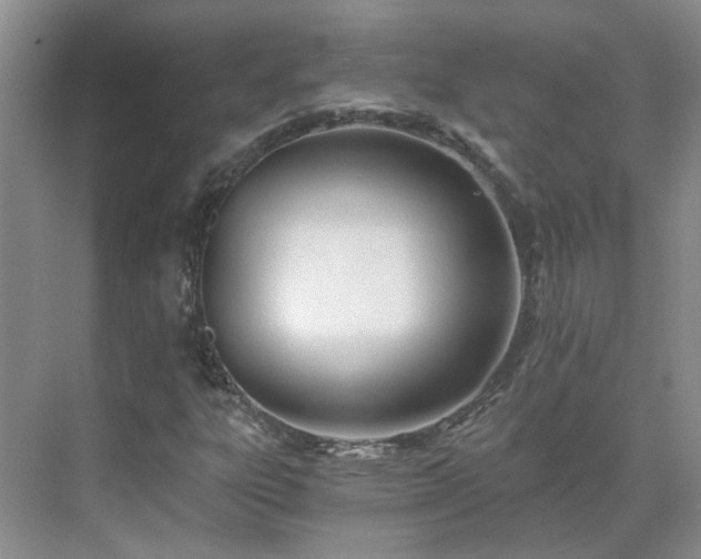 X0000071351303200606301642